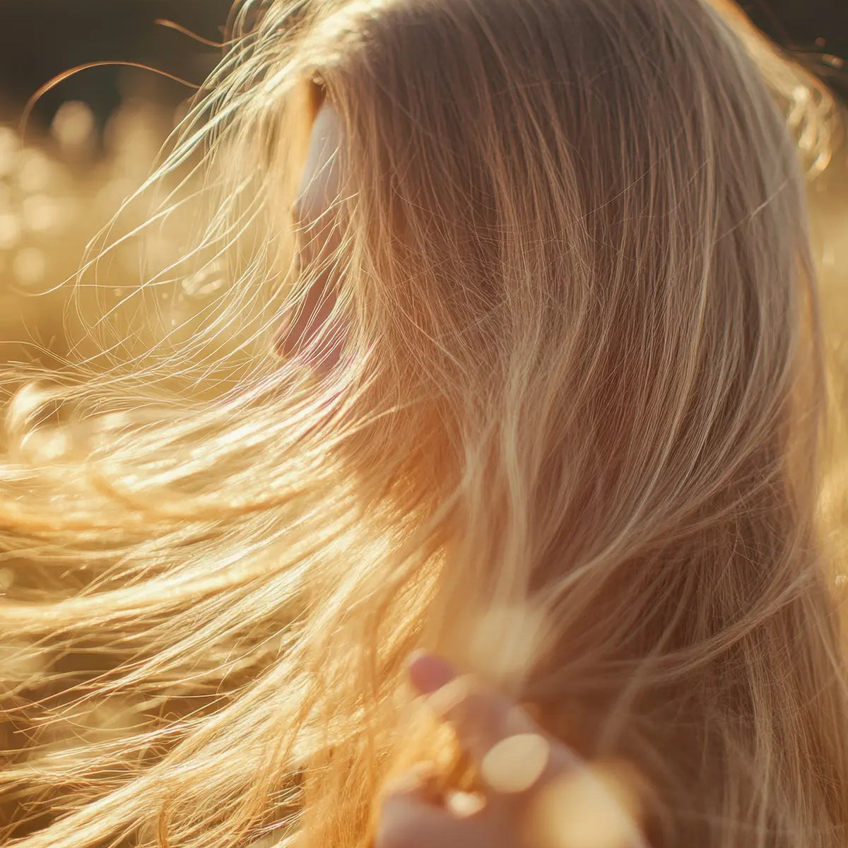 Blonde hair backlit by golden summer sunlight, showing natural hair lightening from sun exposure