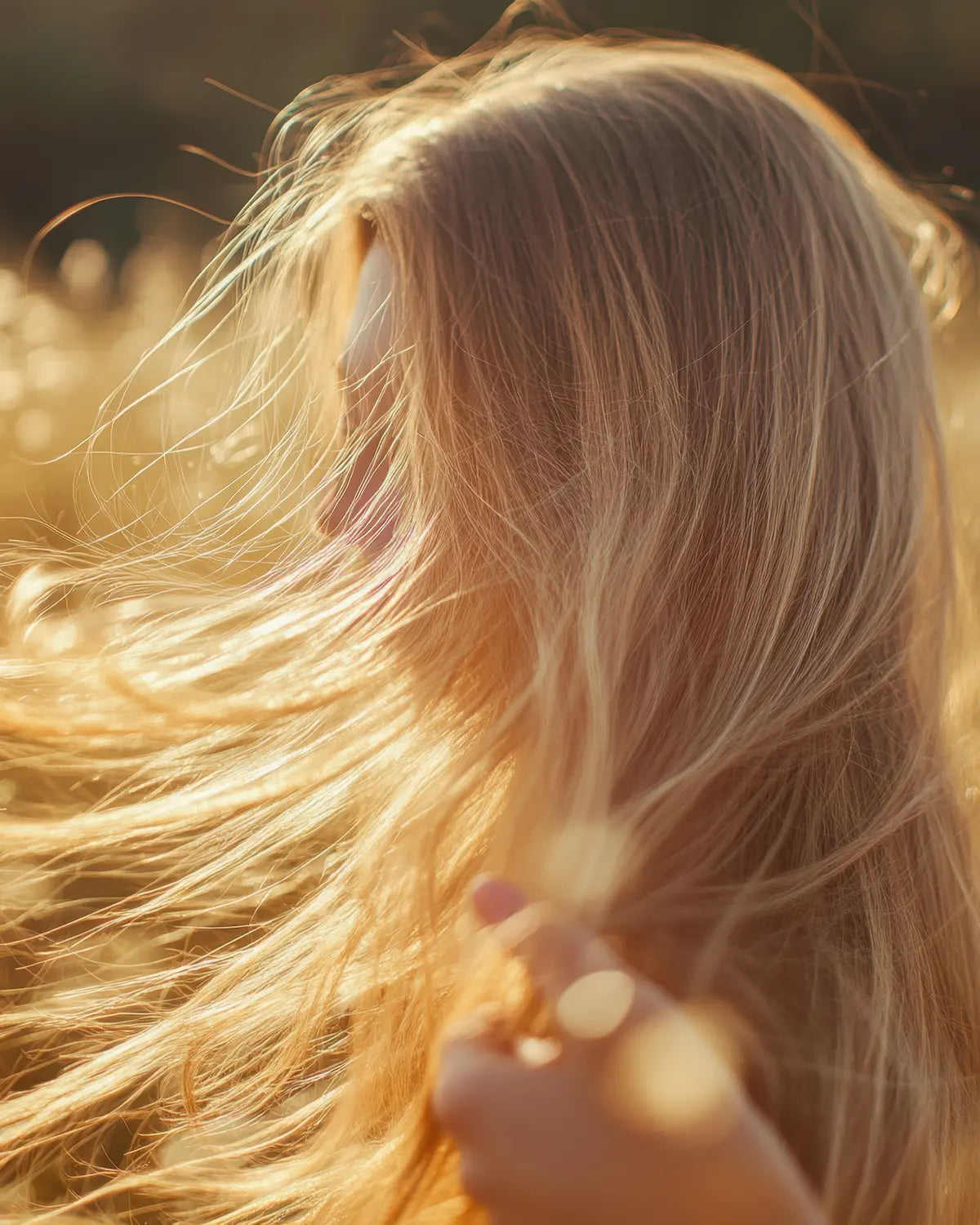 Blonde hair backlit by golden summer sunlight, showing natural hair lightening from sun exposure