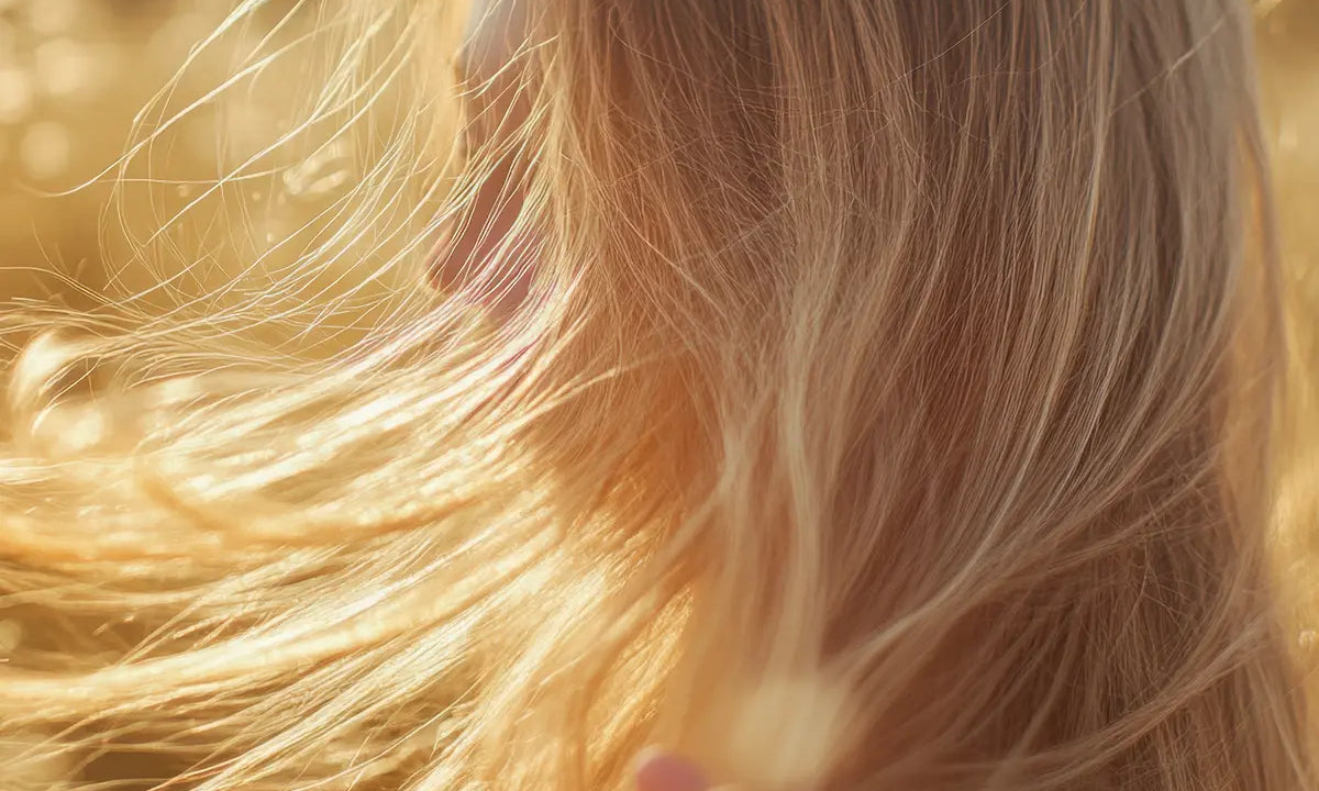 Blonde hair backlit by golden summer sunlight, showing natural hair lightening from sun exposure