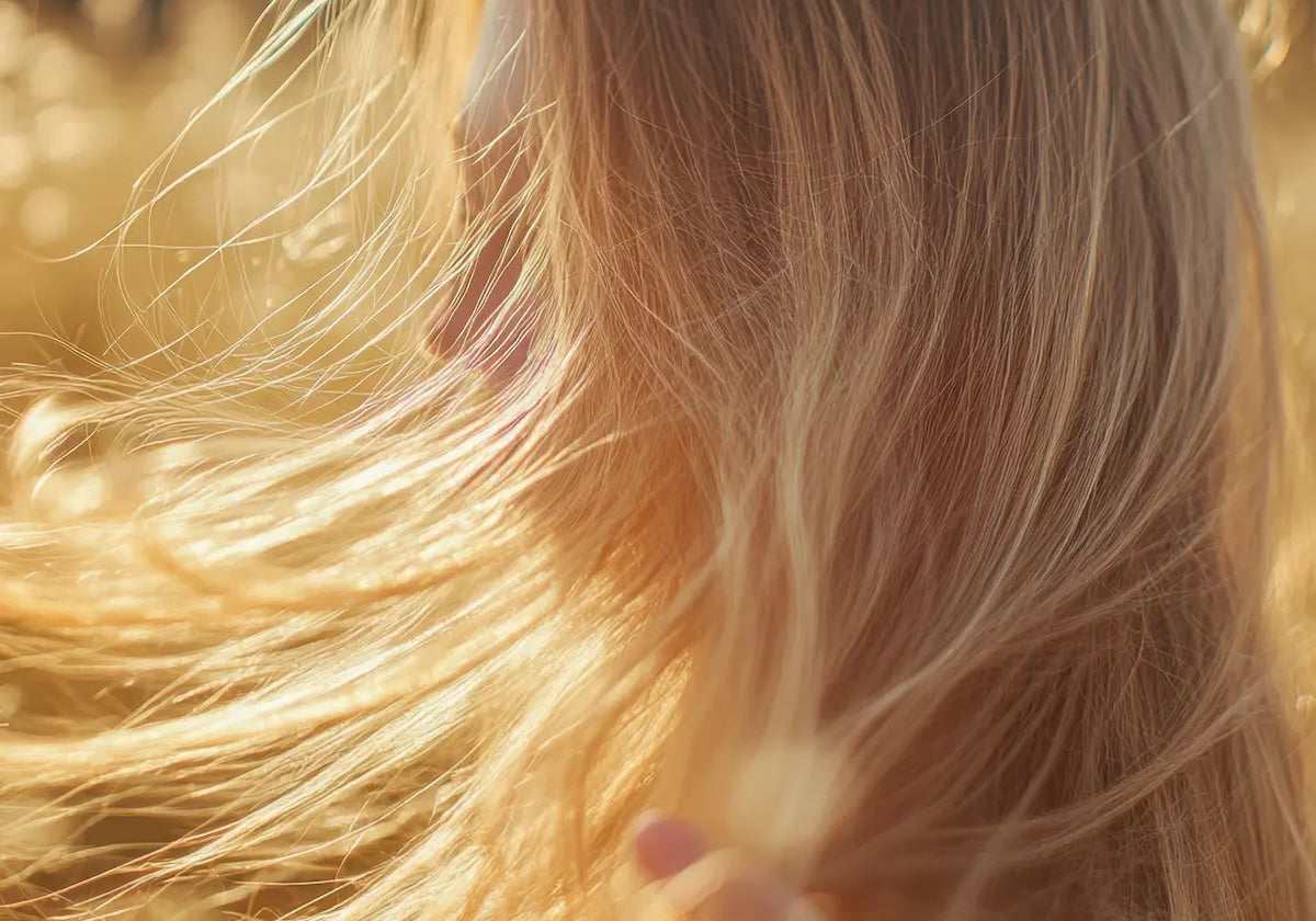 Blonde hair backlit by golden summer sunlight, showing natural hair lightening from sun exposure