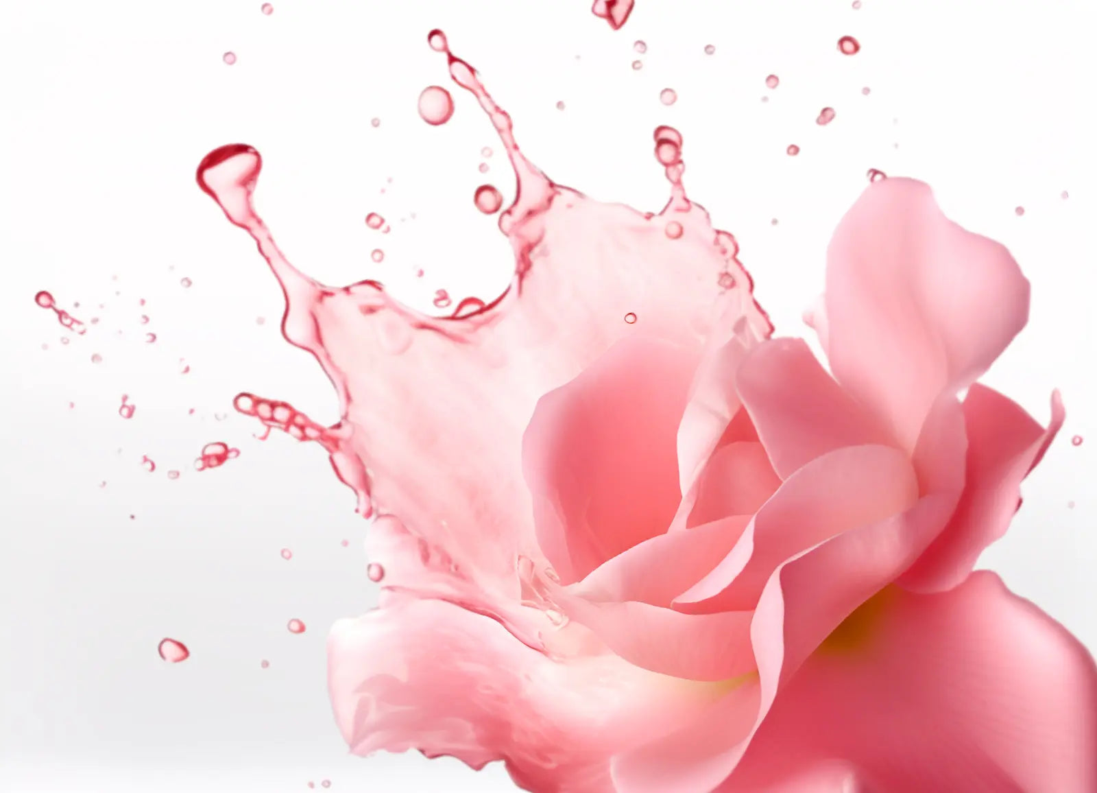 Rose Water for hair