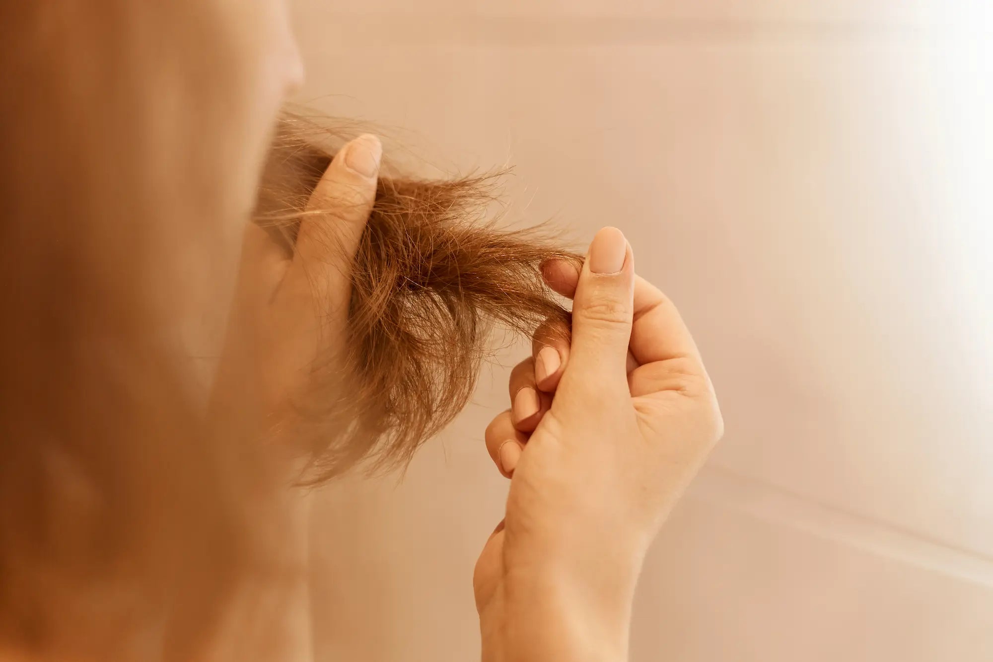 how to recognize and repair damaged hair