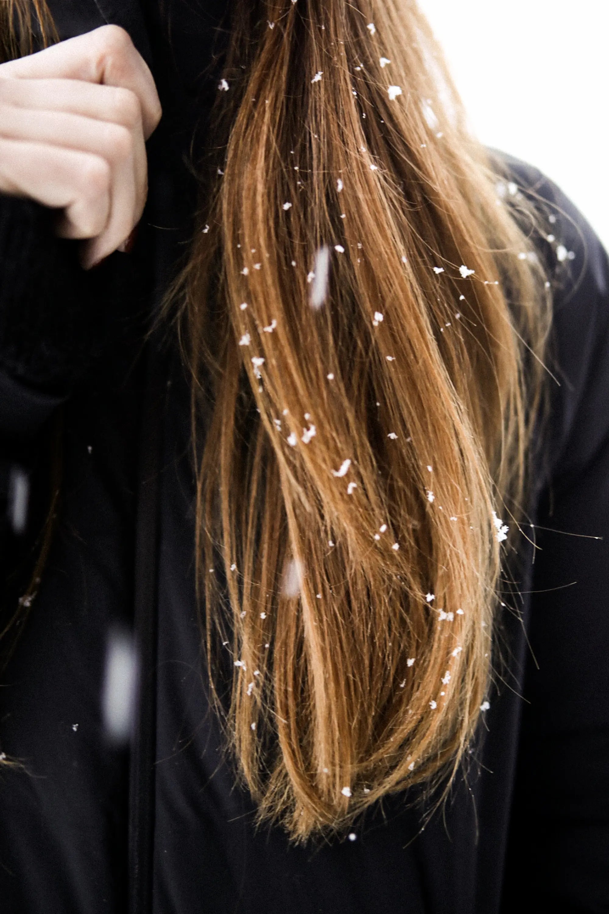 Conquer Winter Hair Woes: Ultimate Guide to Healthy, Hydrated Locks