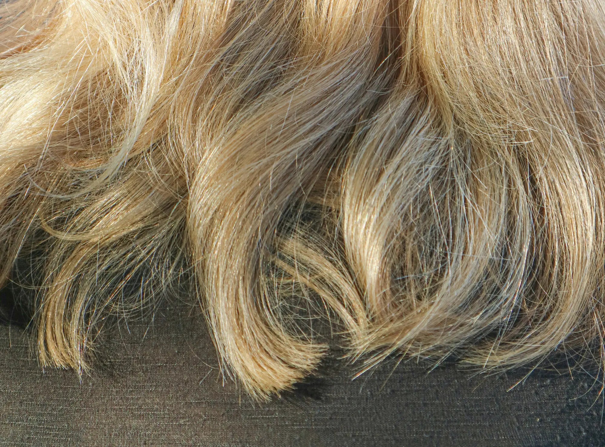 why does blonde hair turn brown
