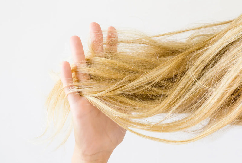 Why Does Your Hair Tangle So Easily + How To Prevent It