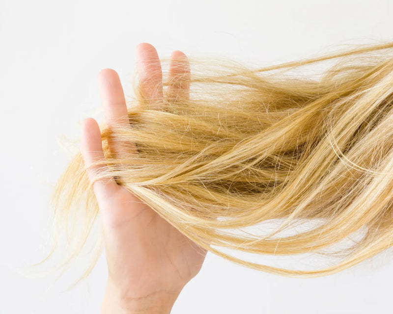 Why Does Your Hair Tangle So Easily + How To Prevent It