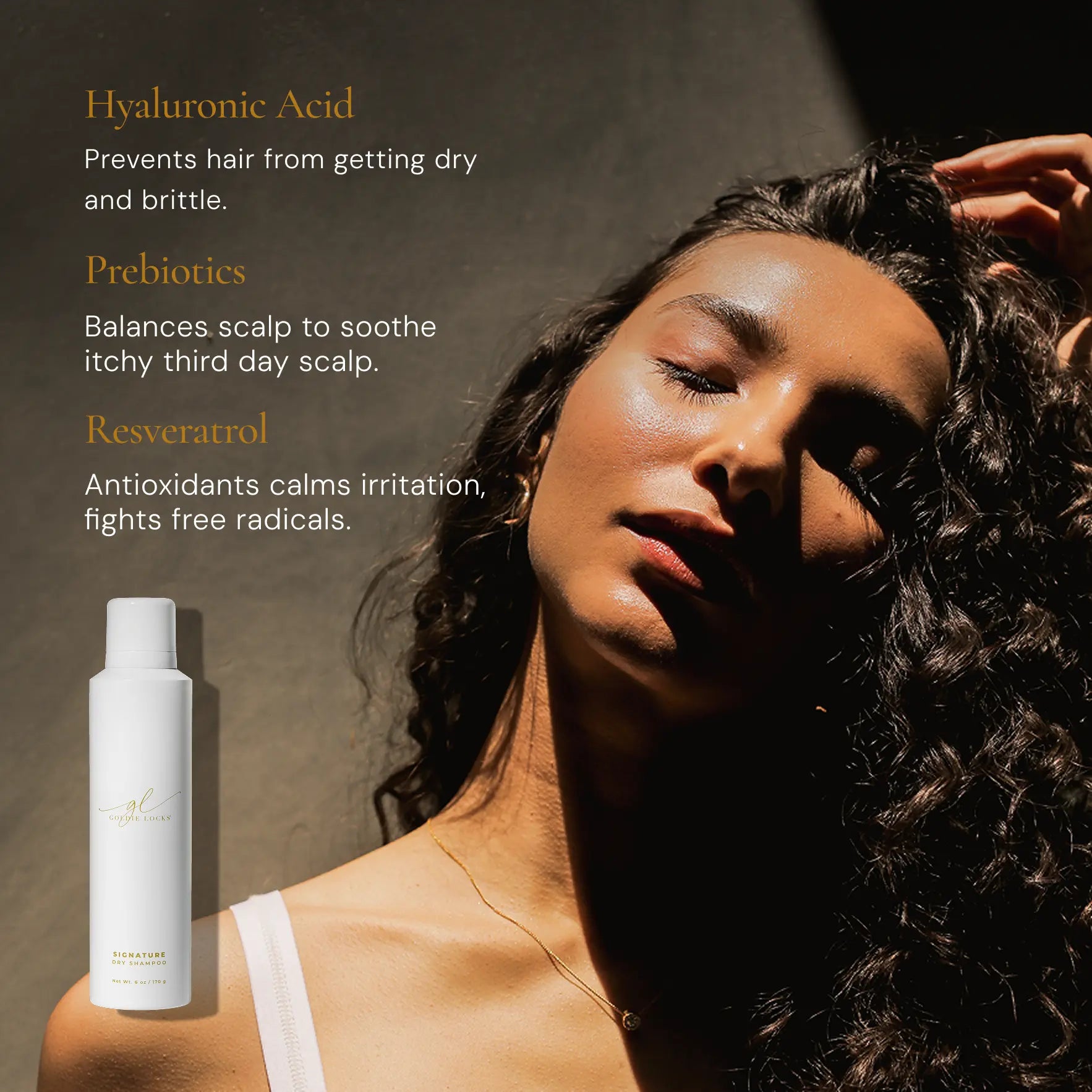 &nbsp;Hydrating Dry Shampoo&nbsp;