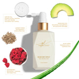 Blow Dry Spray